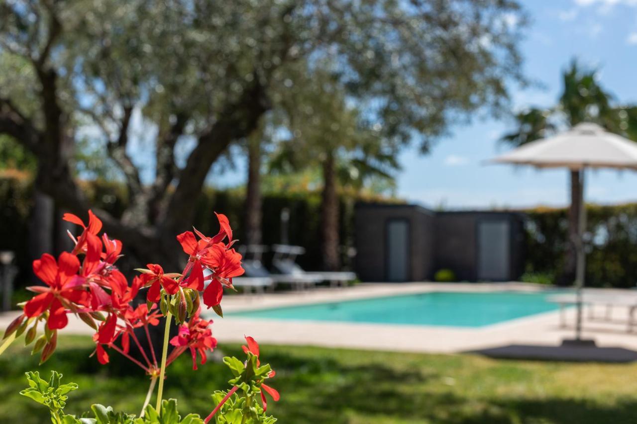 Casa Il Geranio Villa Piedimonte Etneo